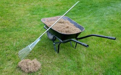 Fall Lawn Maintenance in Florida: How to Keep Your Yard in Shape